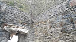 acastle
                          107175.jpg